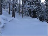 Tržič - Planina Zgornja Konjščica